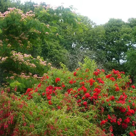 Jolie Maison De Avec Vue Magnifique Sur Le Jardin